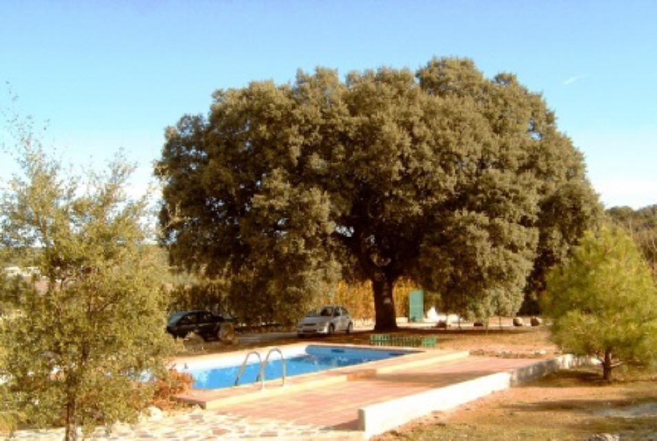 Casa Carmen - eigener Pool