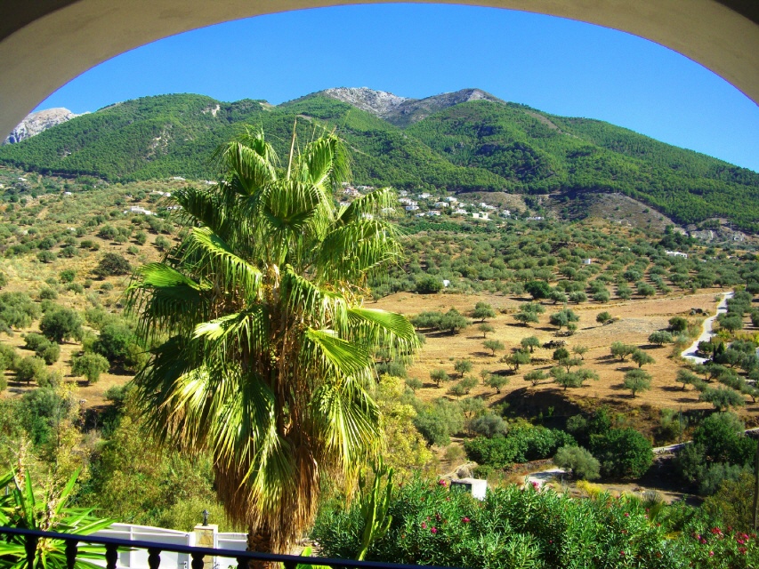 view from the balcony