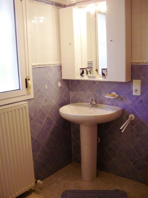 cuarto de baño con ducha, aseo y lavabo